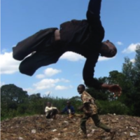 Doing Flips Doing Flips